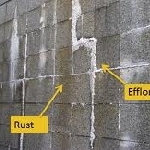 Toko Besi & Bangunan Tanjungsari Sumedang Tips Menghilangkan Jamur dan Lumut pada Batu Alam dan Batu Bata